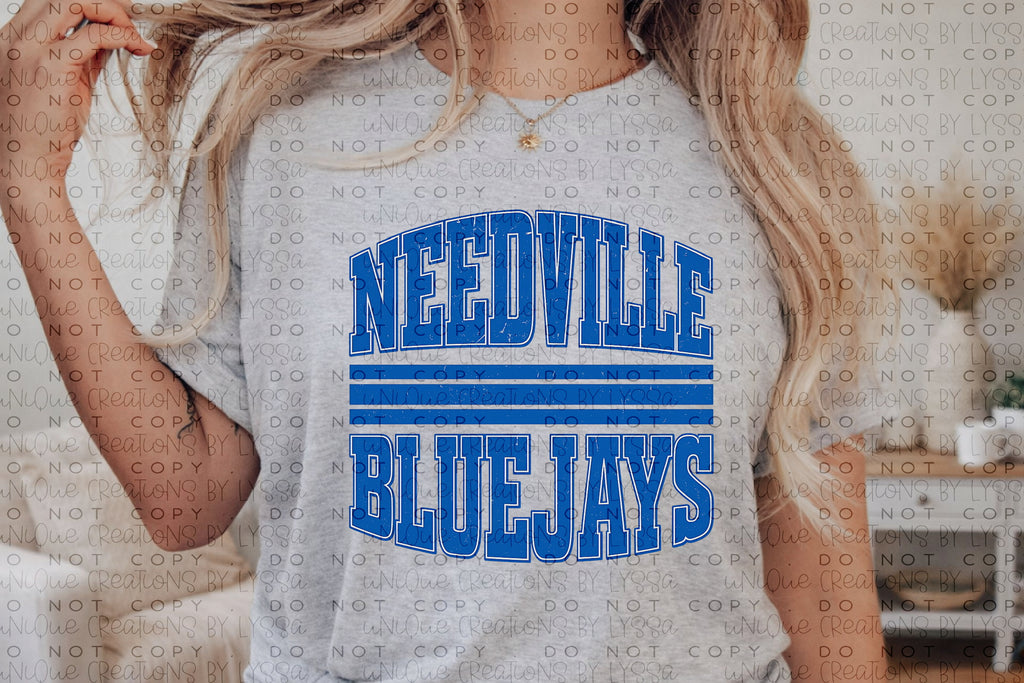 NEEDVILLE BLUEJAYS