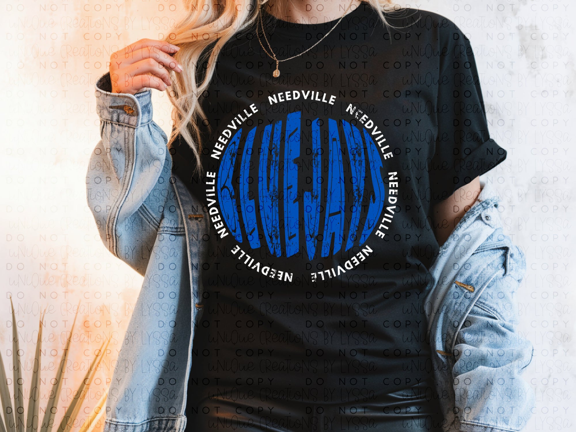 NEEDVILLE BLUEJAYS (CIRCLE)