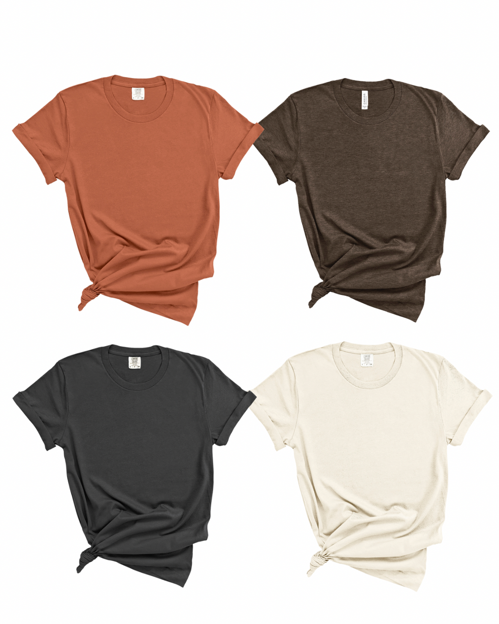 JUST A SILLY GOOSE TEE