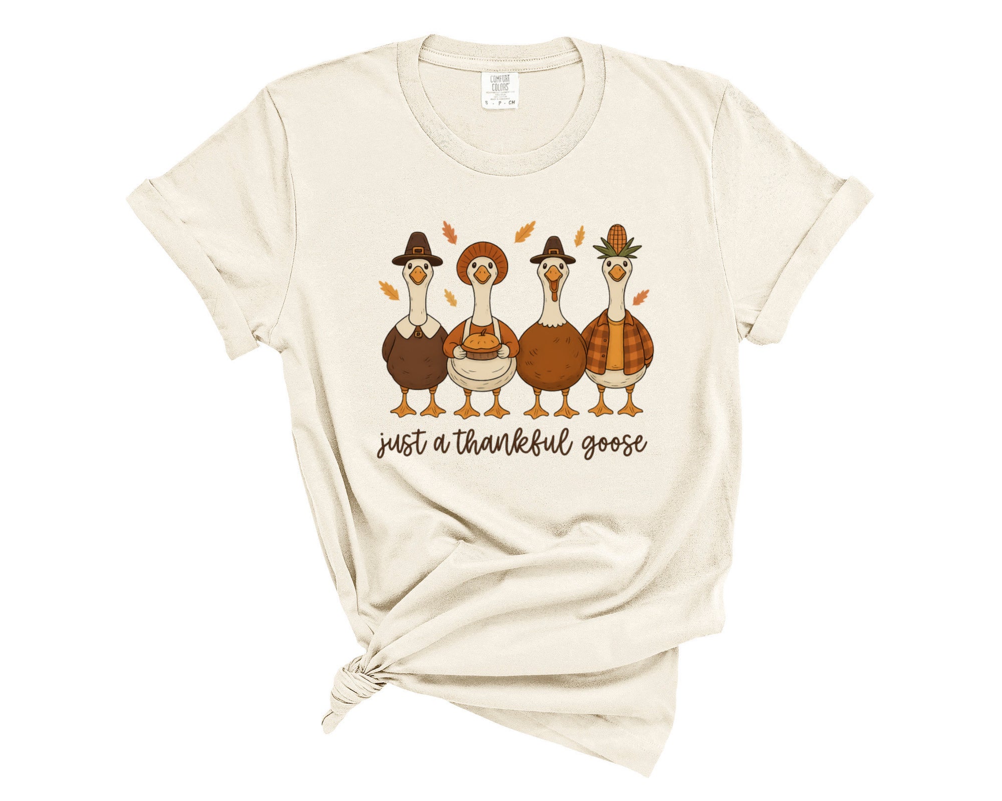 JUST A SILLY GOOSE TEE
